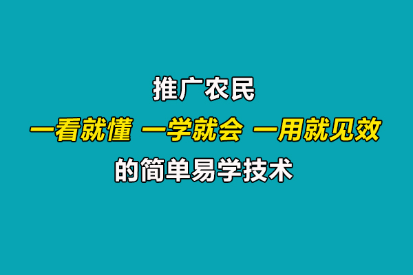 引導農民合理施肥用藥,推廣一看就懂、一學就會、一用就見效的技術